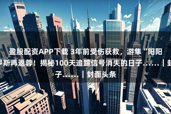 盈股配资APP下载 3年前受伤获救，游隼“阳阳”从俄罗斯再返蓉！揭秘100天追踪信号消失的日子……｜封面头条